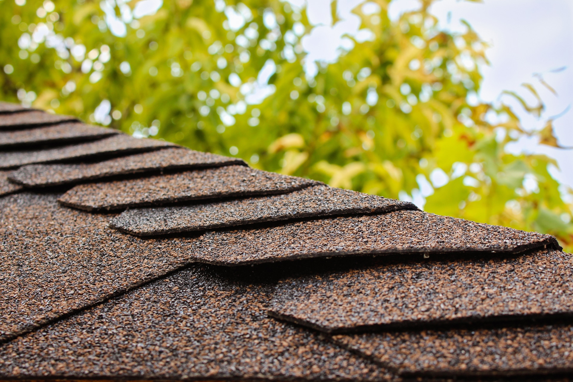 Macro shot of asphalt shingles on a sloped roof.